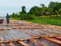 Operasi Kilat di Ketapang: 5 Pelaku Kayu Ilegal Diamankan, Industri Penampung Disegel