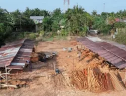 Industri Pengolahan Kayu di Desa Negeri Baru Disegel Gakkum Kehutanan Kalbar