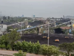 Laba Bersih PTBA Turun 56 Persen, Harga Batubara Jadi Penentu Kinerja 2026
