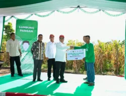 Lombok Timur Tunjukkan Ketangguhan Pertanian Lahan Kering di Panen Raya Jagung