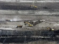 PTBA Pastikan Tetap Bagi Dividen Meski Laba Tahun 2025 Terkoreksi