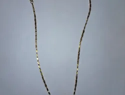 Polda Sumsel Tegaskan Komitmen Keamanan: Pelaku Jambret di Seberang Ulu II Berhasil Ditangkap