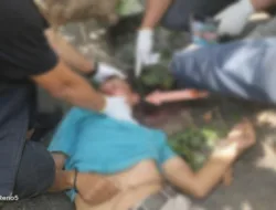 Pengemudi Ojek Online Tewas Tertimpa Pohon Tumbang di Depan Samsat Palembang