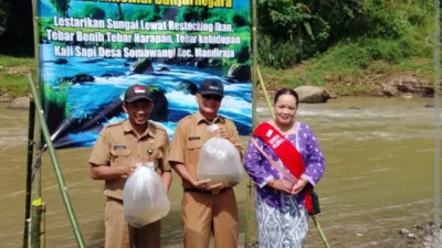 Semangat Hari Kartini, Bunda Milenial Banjarnegara Tebar 5.000 Benih Ikan di Sungai Kaliasapi