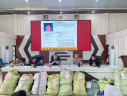 Operasi Gabungan Polda Sumsel Bongkar Ladang Ganja 20 Hektar di Empat Lawang, 220 Kg Ganja dan Bandar Utama Ditangkap