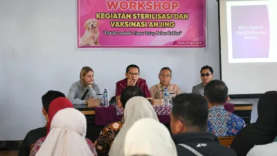 Tekan Populasi Anjing Liar, Pemkab Lombok Timur Gencarkan Sterilisasi Berbasis Kolaborasi