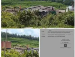 Prof. Sutan Nasomal Desak Penegakan Hukum Tegas terhadap Perusahaan Ilegal di Aceh Singkil