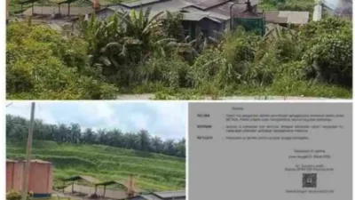 Prof. Sutan Nasomal Desak Penegakan Hukum Tegas terhadap Perusahaan Ilegal di Aceh Singkil