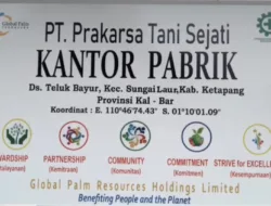 Limbah Sawit PT PTS Cemari Sungai Laur, Diduga Langgar Undang-Undang Lingkungan