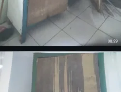 Sekolah Negeri di Bone Memprihatinkan: Pagar Sejak 1963 Tak Pernah Tersentuh Renovasi