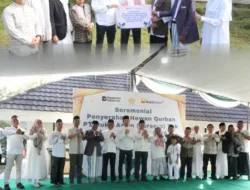 Tebar Kebahagiaan Idul Adha, PTBA Salurkan 300 Hewan Kurban di Berbagai Wilayah Operasional