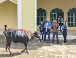 PT ARA Perkuat Kepedulian Sosial Lewat Bantuan Hewan Kurban