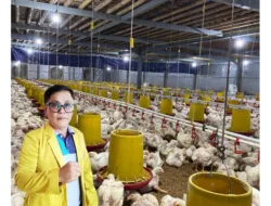 Andi Yulasmai: Investasi Peternakan Jangan Sampai Mengorbankan Lingkungan dan Kesehatan Warga.