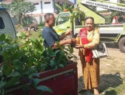 Dukung Penghijauan dan Pemberdayaan Perempuan, DLH Banjarnegara Serahkan 1.000 Bibit Kopi kepada Bunda Milenial