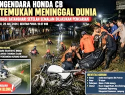 Pencarian Semalam Berakhir Duka, Pengendara Honda CB Ditemukan Tewas di Irigasi Batanghari