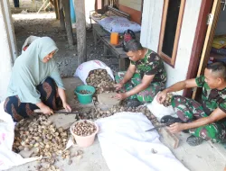 Tak Hanya Bangun Infrastruktur, Satgas TMMD ke 129 Kodim 0102/Pidie Bantu Warga Kupas Pinang,Perkuat Kemanunggalan TNI dan Rakyat