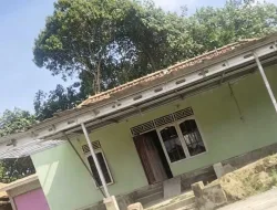 DIDUGA SAMBUNG LANGSUNG TANPA METERAN USAHA KARAOKE DI SIMPANG PENIMUR! PLN WILAYAH PENDOPO DAN APH DIMINTA TINDAK TEGAS