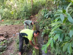 TNI Manunggal Air, Serka Imam Sungep Bersama Warga Kedung Banteng Gotong Royong Bersihkan Irigasi