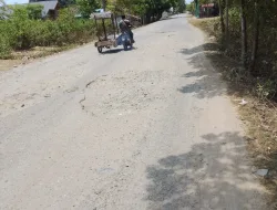 Tujuh Titik Jalan Nasional Krueng Raya–Tibang Rusak Parah, Warga Pidie Minta Segera Diperbaiki