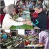 Setetes Darah, Sejuta Harapan, Korem 043/Gatam Gelar Donor Darah Sambut HUT Ke-79