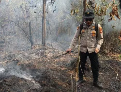 Karhutla Jadi Ancaman Keamanan dan Geopolitik ASEAN, Tony Saputra Dorong Strategi Kolaboratif