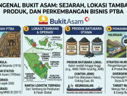 BUKIT ASAM, DARI TAMBANG TUA MENUJU PERUSAHAAN ENERGI TERINTEGRASI
