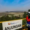 Kinerja PTBA 2014–2026: Pendapatan Tumbuh Lebih dari Tiga Kali Lipat, Laba Fluktuatif