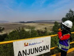 Kinerja PTBA 2014–2026: Pendapatan Tumbuh Lebih dari Tiga Kali Lipat, Laba Fluktuatif