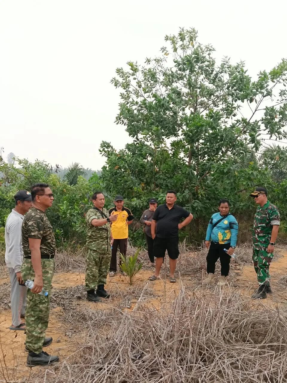 Demplot Satgas Karhutla TNI, Uji Alternatif Pupuk Organik Ladang di Kayan Hilir