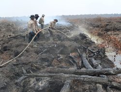 Satbrimob Polda Sumsel Padamkan 80 Hektare Karhutla di Teluk Limau