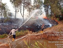 Tim Gabungan Dinginkan 10 Hektare Lahan Karhutla di Sungai Rambutan