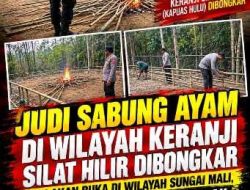 Judi Sabung Ayam di Keranji Silat Hilir Dibongkar, Jangan Hanya Pencitraan “Warga Soroti Rencana Aktivitas di Sungai Mali