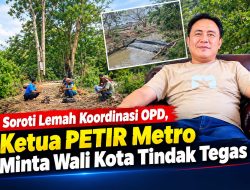 Bayu PETIR: Kalau Tak Ramai Diberitakan, Pohon Tumbang di Way Batanghari Mungkin Tak Ditangani