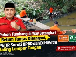 Pohon Tumbang di Way Batanghari Belum Tuntas Ditangani, PETIR Soroti BPBD dan DLH Metro Saling Lempar Tangan