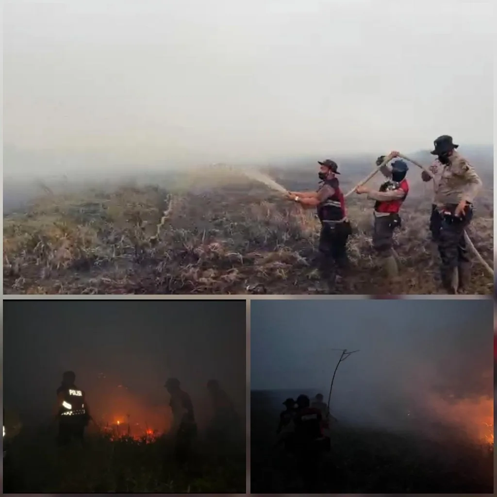 Api Membara di Sisi Tol Kayuagung-Palembang KM 346, Polisi Bergerak Cepat