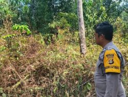 Tujuh Hotspot Terdeteksi di Wilayah Pulau Rimau, Polisi Lakukan Groundn Check